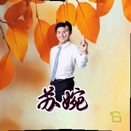 苏婉